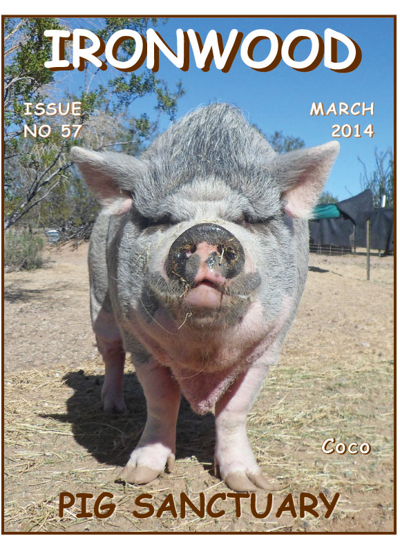 March 2014 Newsletter icon
